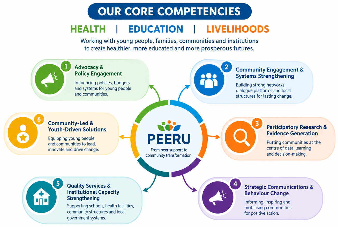 PEERU Core Competencies